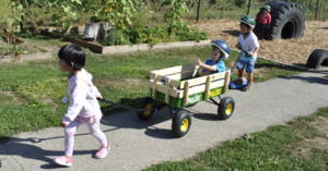 Little girl pulling little boy in a wagon