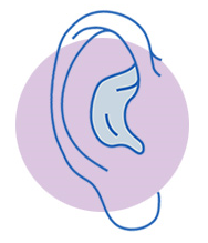 picture of an ear