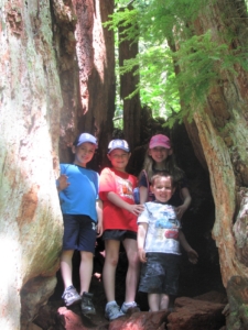 kids in a hallowed tree